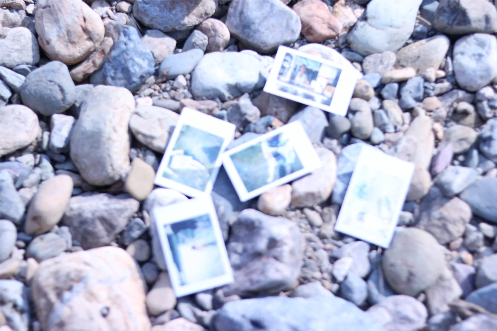 写真19